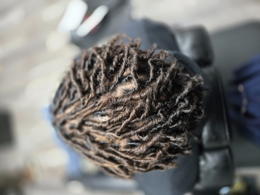 Starter Locs at ONE4T4 Loc'd In in Hamden, CT