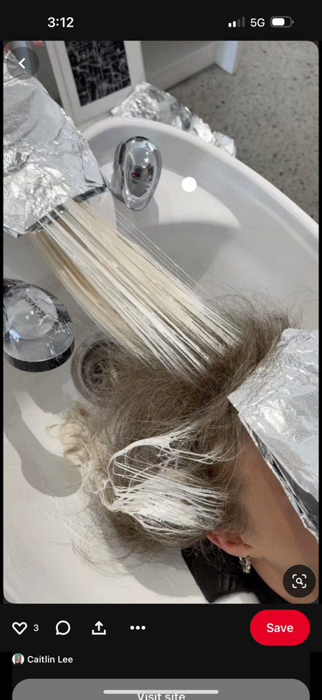 Mini Blonding w/ Haircut