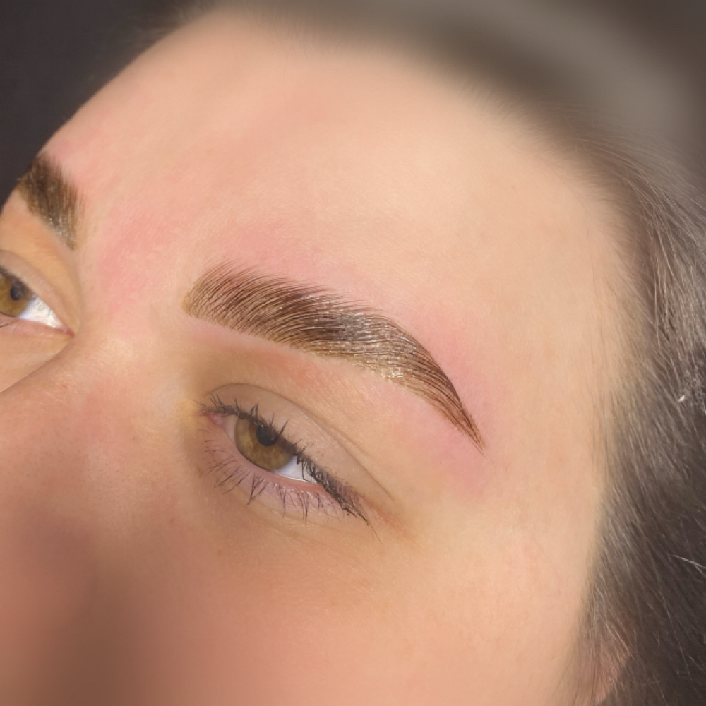 Brow Trio (Lamination + Tint + Wax) at XO Lash Studio LLC. in Apollo, PA