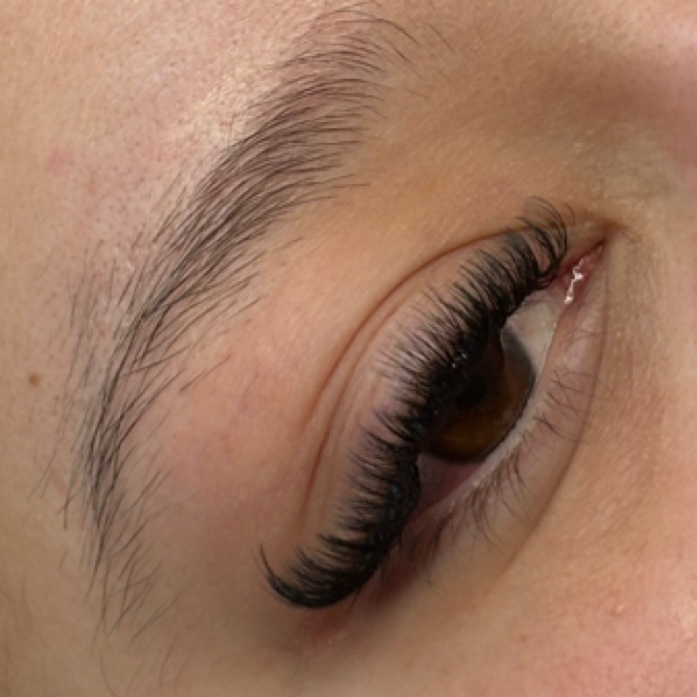 Lash Extensions