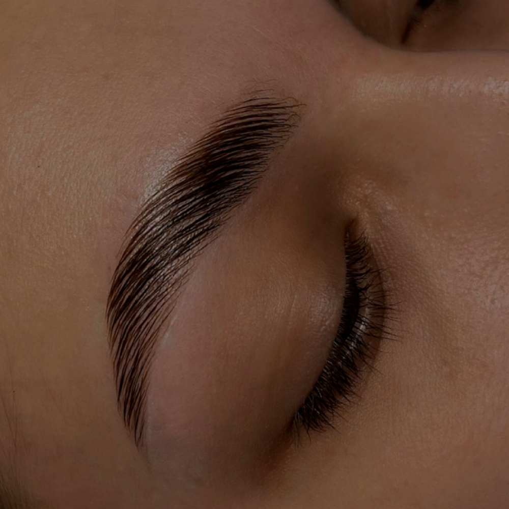 Brow Lamination & Tint at Ems Esthetics in Jerseyville, IL