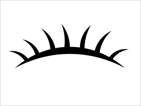 Lash Lift & Tint