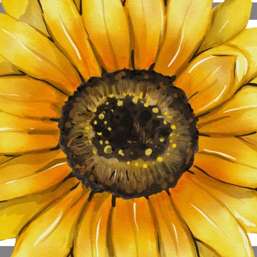 Nail fix at Shirly Nails in Nine Mile Falls ( small entrance near fruit trees-), WA