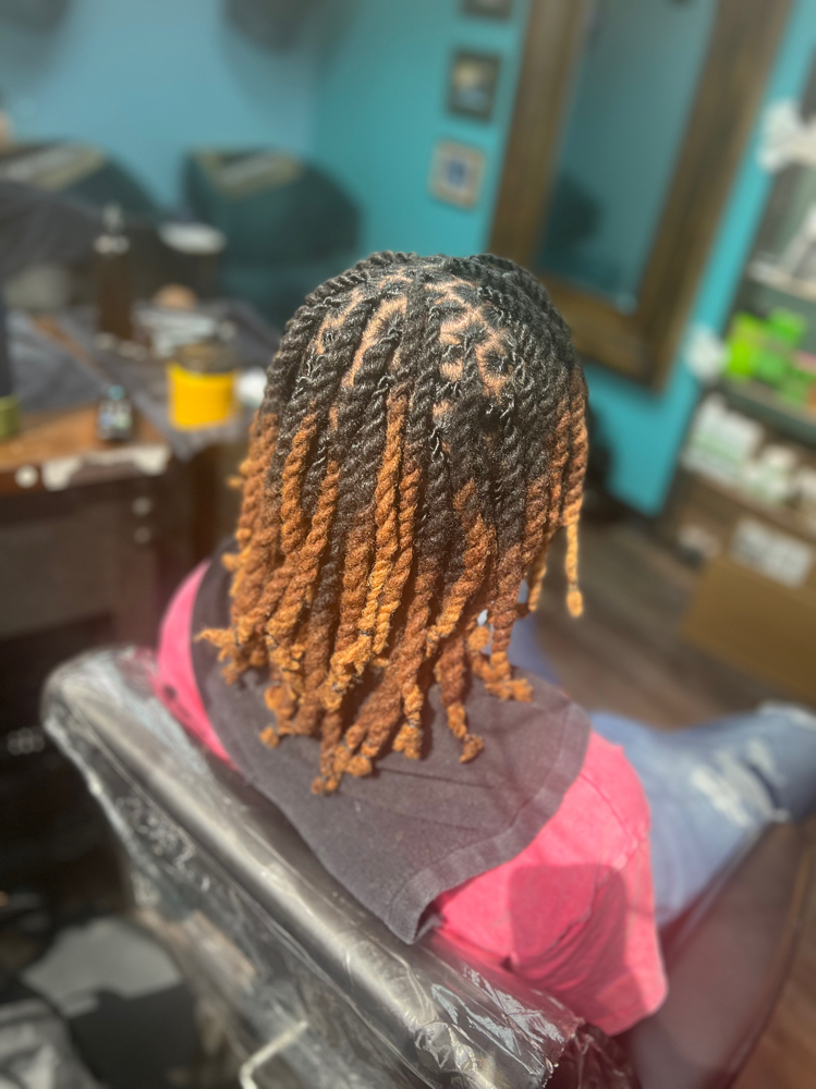 Loc Two Strand Twist (Add-On)