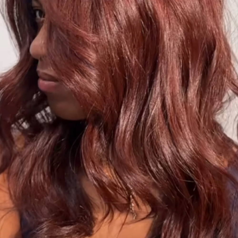 Full Color (Root +Tip)/ Silk press at Salon Silk By Ranee Larue in Mundelein, IL