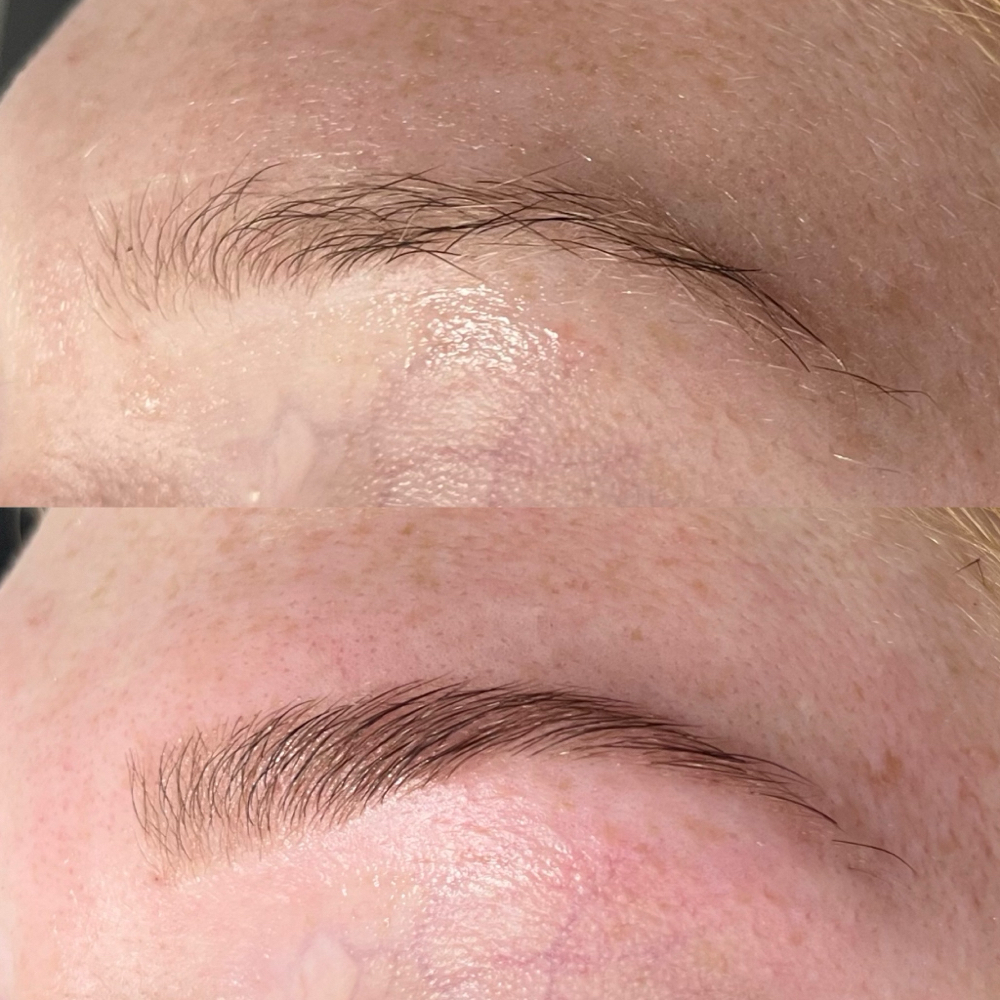 Brow Wax & Tint