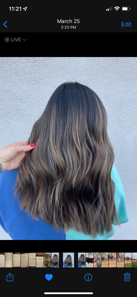 Partial Balayage & Haircut