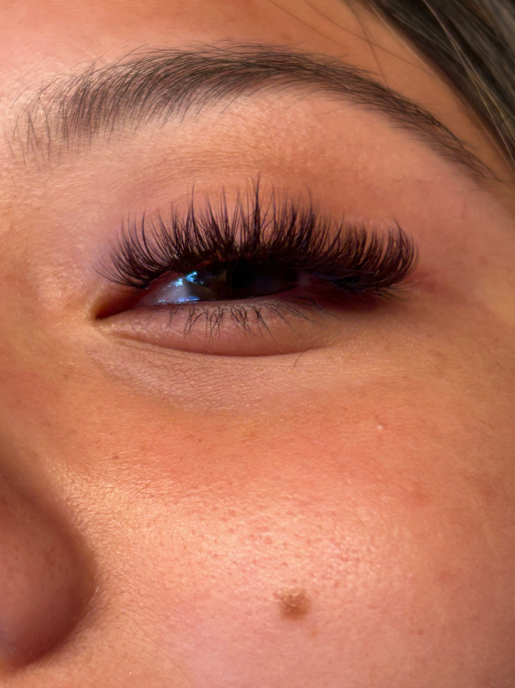 Wispy Hybrid 3 Week Fill