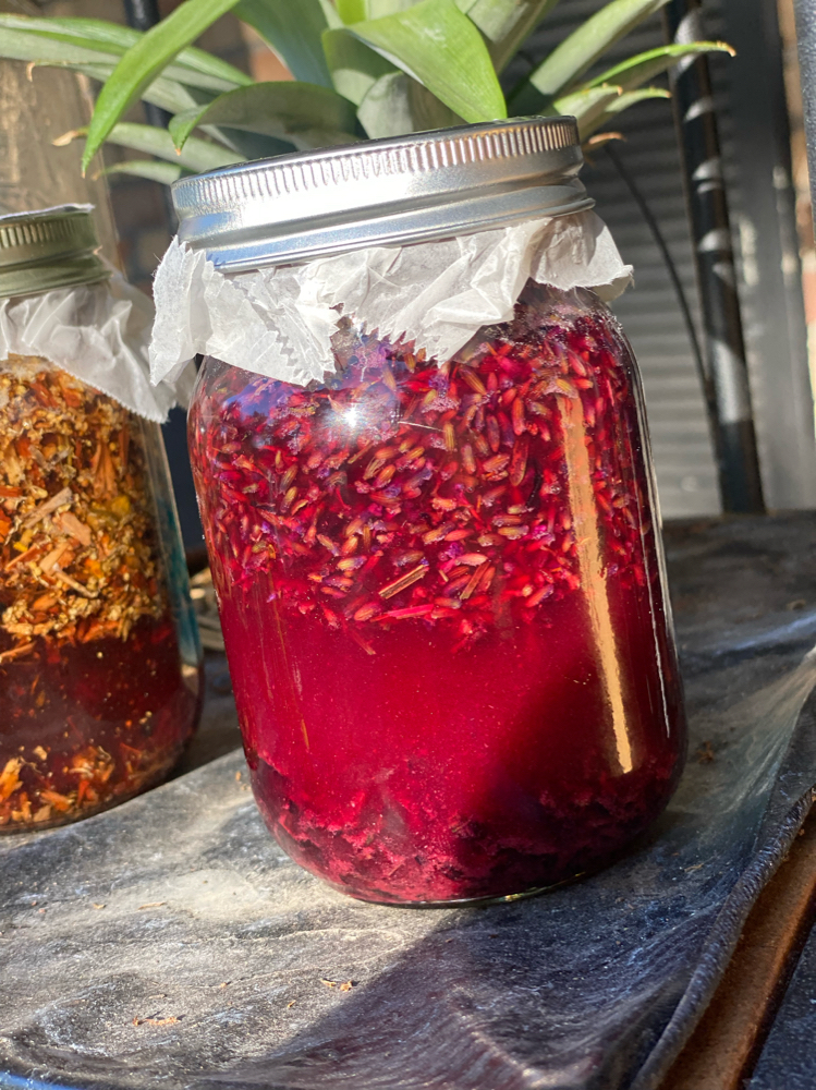 Bloodpressure/lupus Tinctures