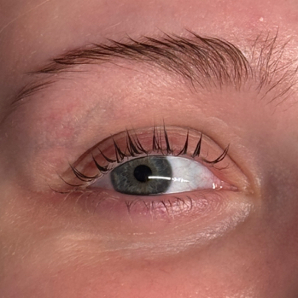 Lash Tint at Glowing By Mila in Chesterfield, MO