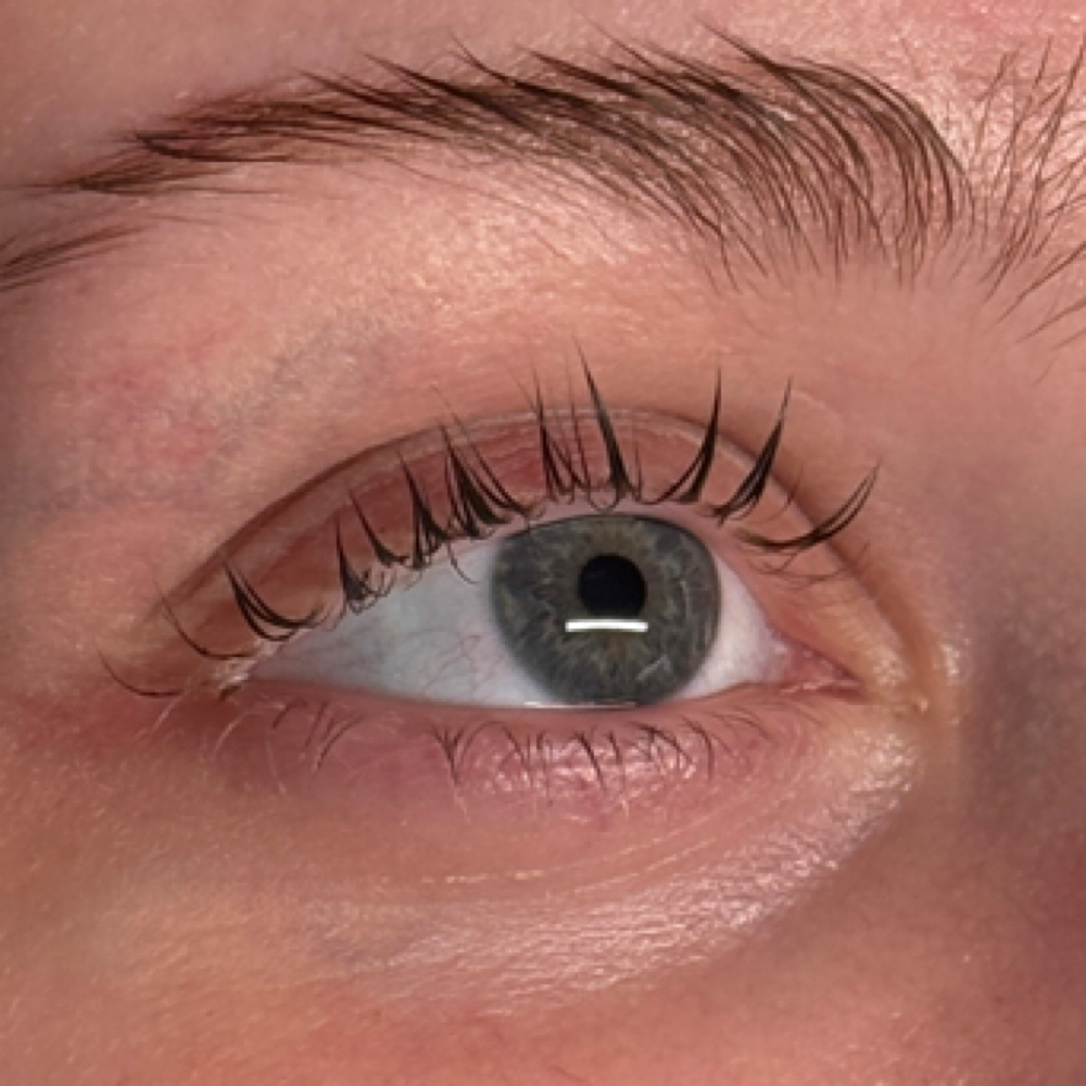 Lash Tint at Glowing By Mila in Chesterfield, MO