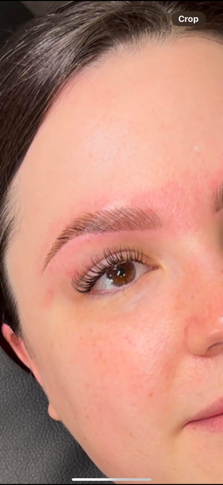 Classic Lash Extensions at GeBeautique in Springfield, IL