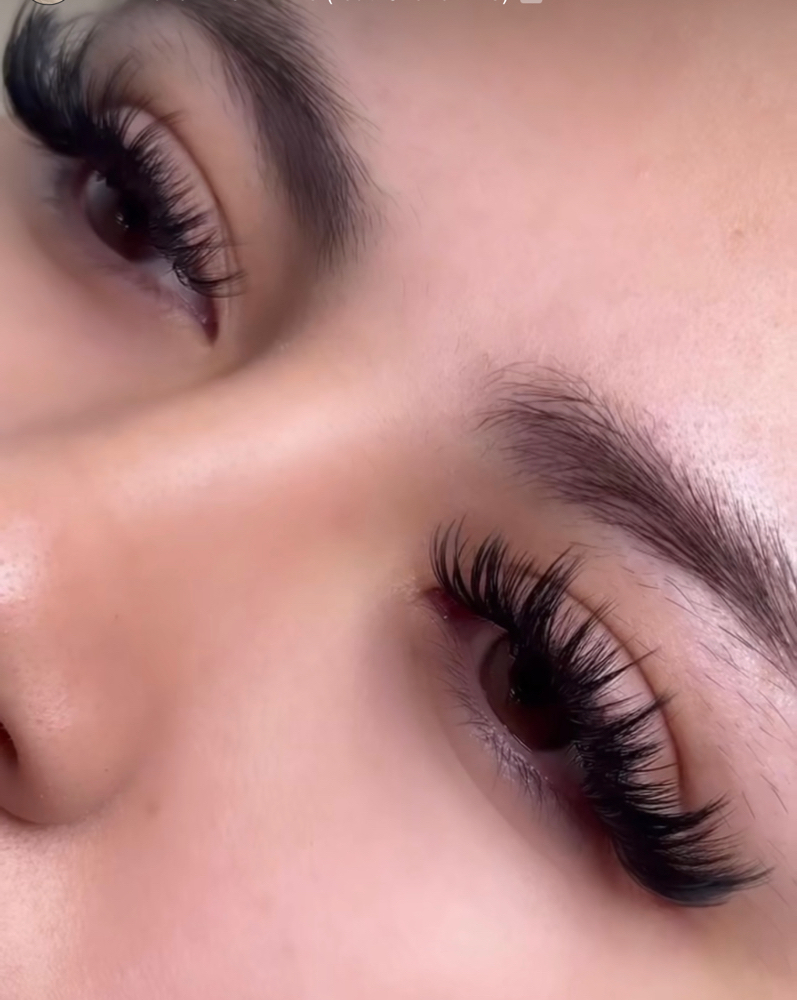 Volume Lashes
