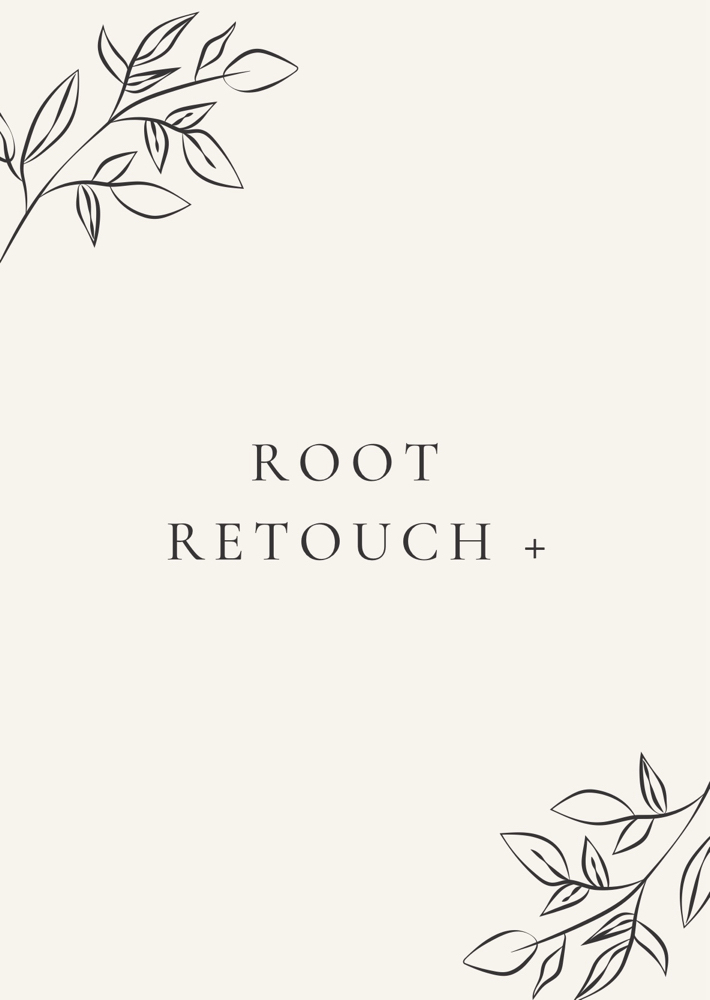 Root Retouch +