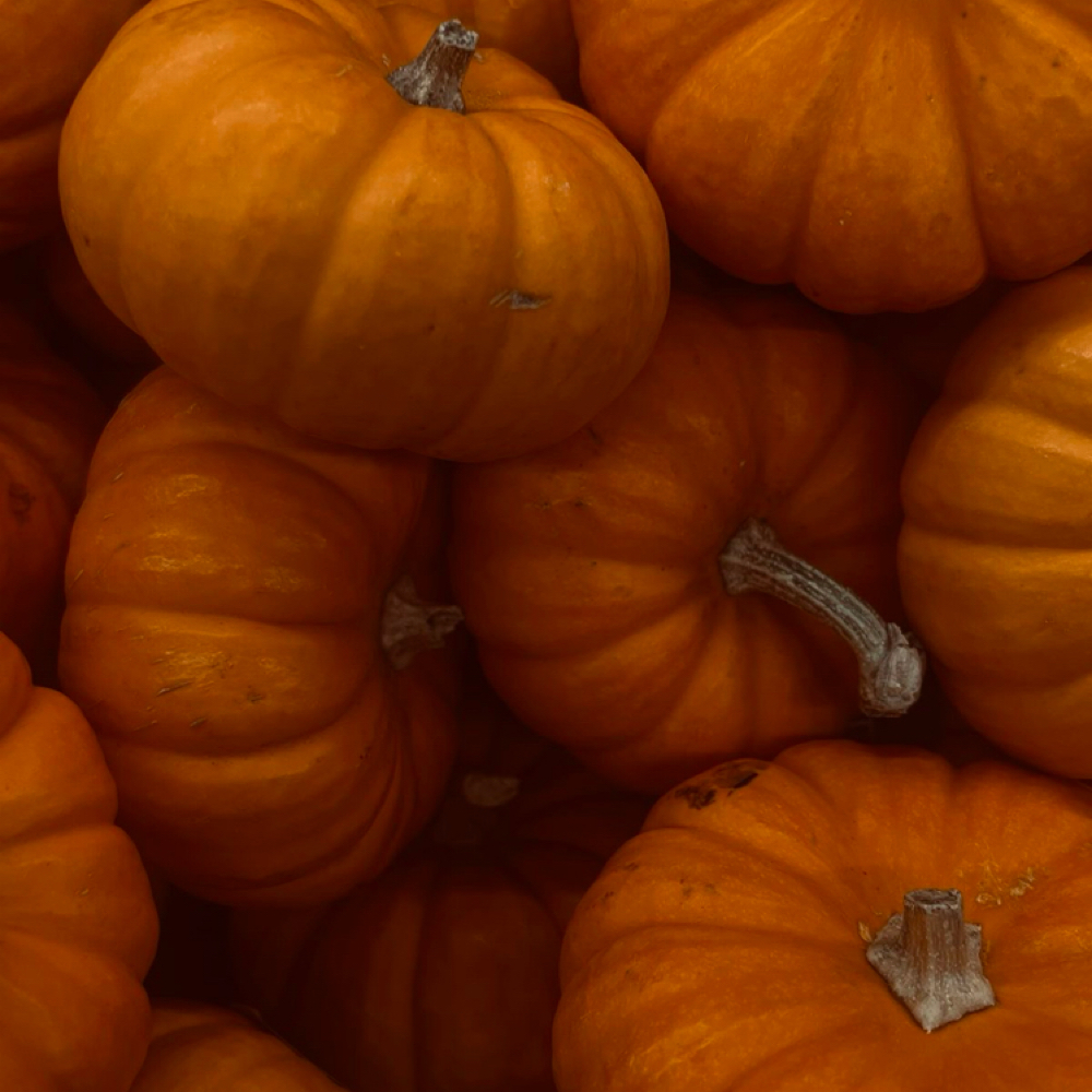 The Pumpkin Plump Facial at Vannaz Vanity in Bakersfield, CA
