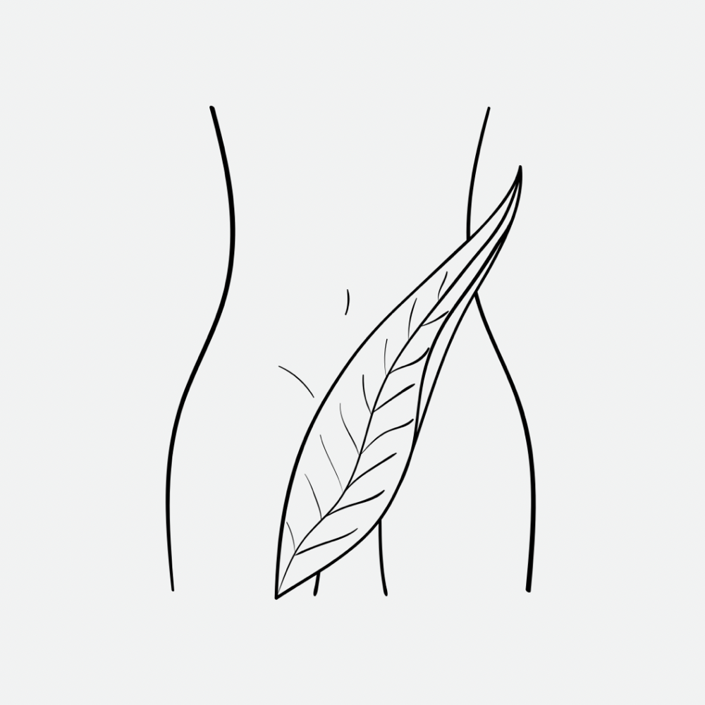 Bikini (V)