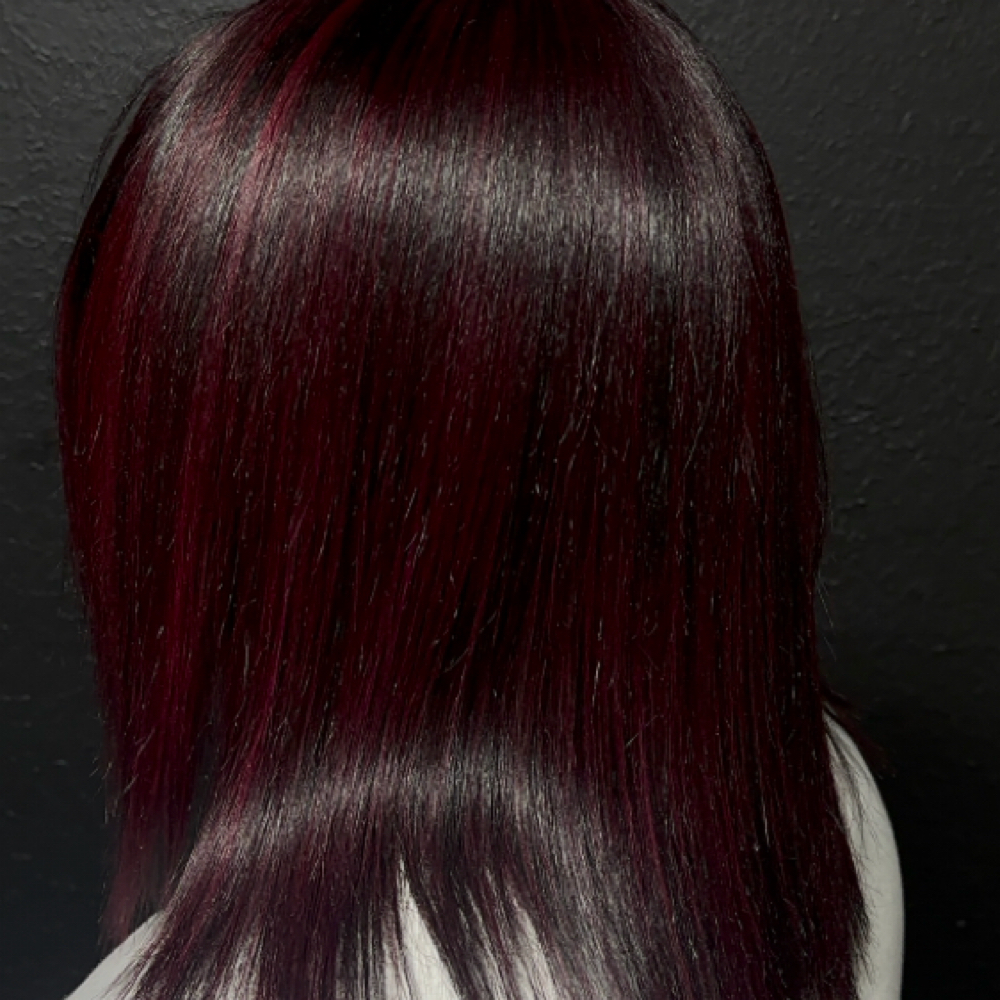 All Over Color at RH Studio in Apple Valley, MN