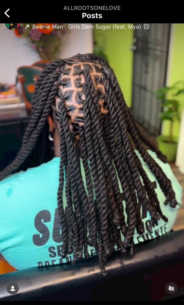 Two Strand Locs - Shoulder|Midback