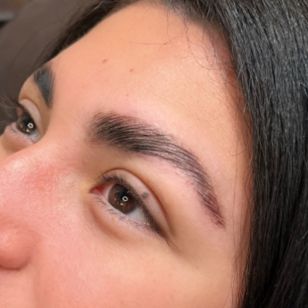 Eyebrow Lamination at Indy’s Lash Babes - Alex in Indianapolis, IN