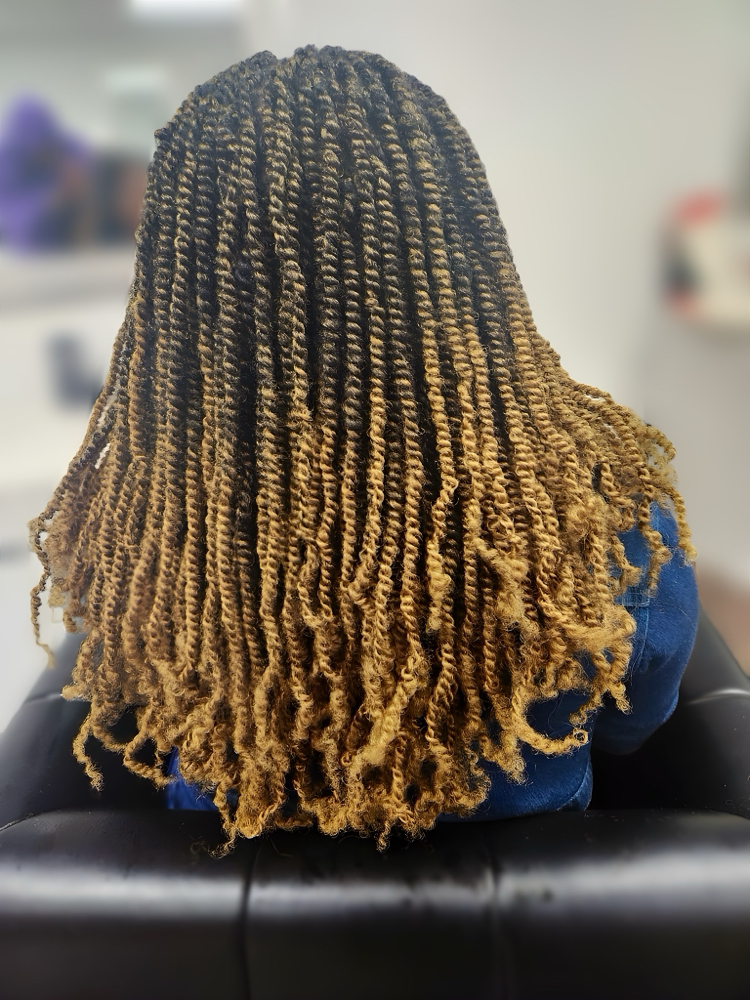 Spring Twists