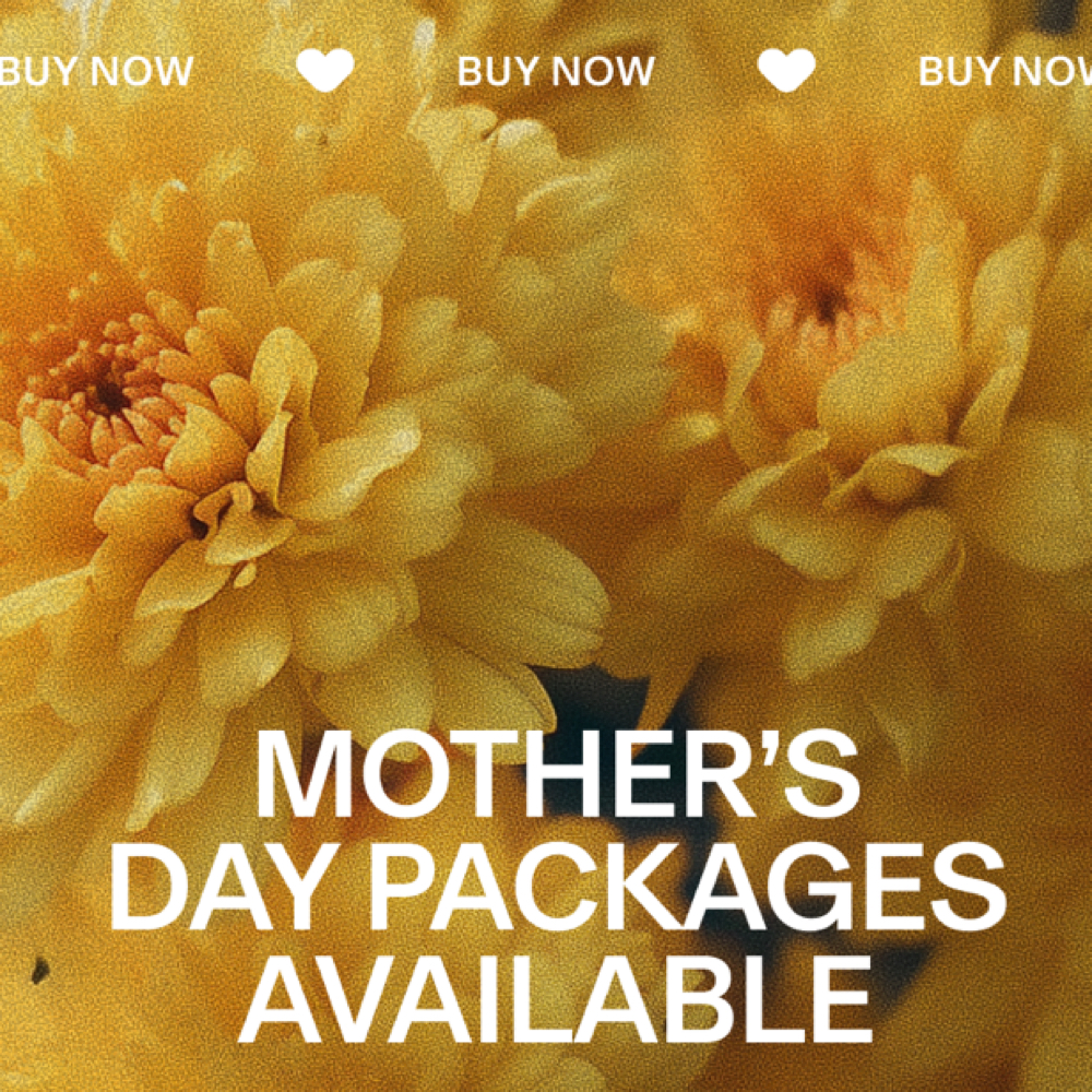 ✨Mothers Day Package✨ at Claudia Krimmer Hair and Tattooing in Cincinnati, OH
