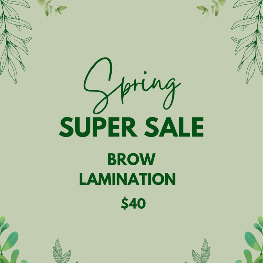 Spring Brow Lami Promo at Fox Box by Melissa Ortiz in Modesto, CA
