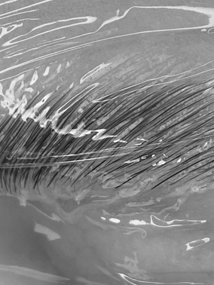 Brow Lamination at Kayelee Beauty Essentials in Salem, OR
