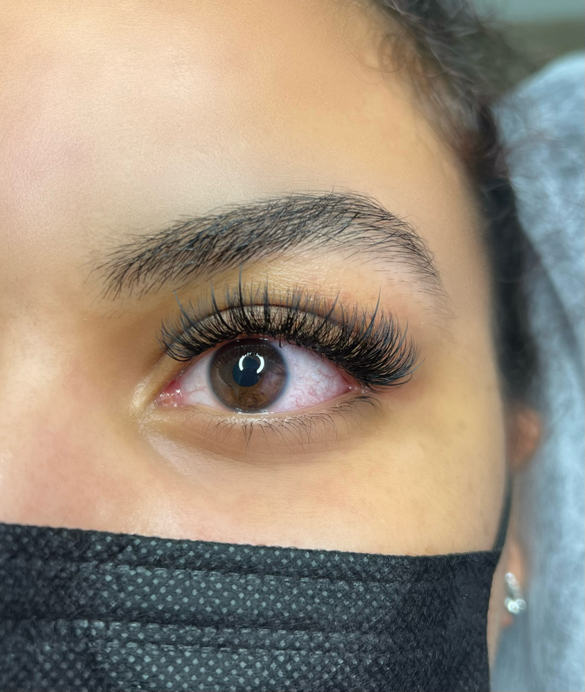 Wispy Full Volume Set at Luxury Lashes in Salamanca, NY