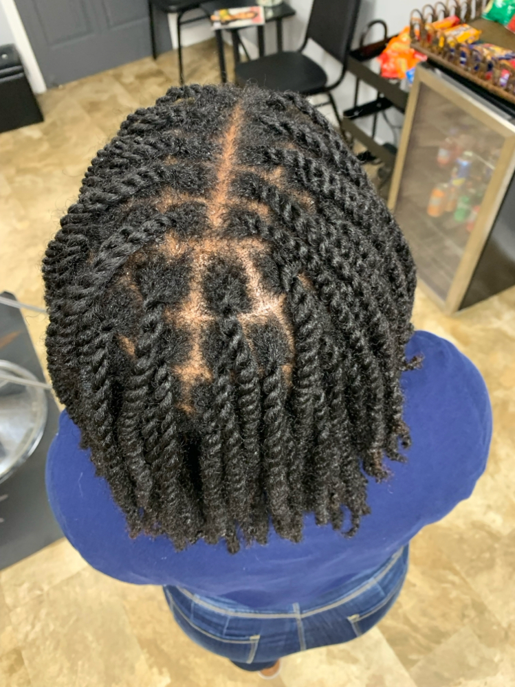 Small Two Strand Twist Natural Hair