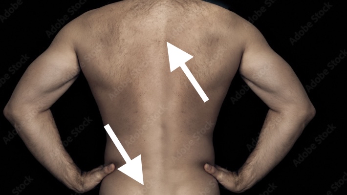 Back, Buttock, Inside Glutes