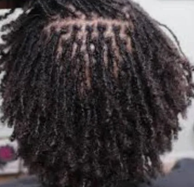Sister Starter Locs