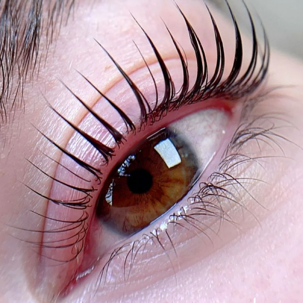 KOREAN LASH LIFT - MODEL SERVICE at Shine Artistry Studio in Oakdale, MN