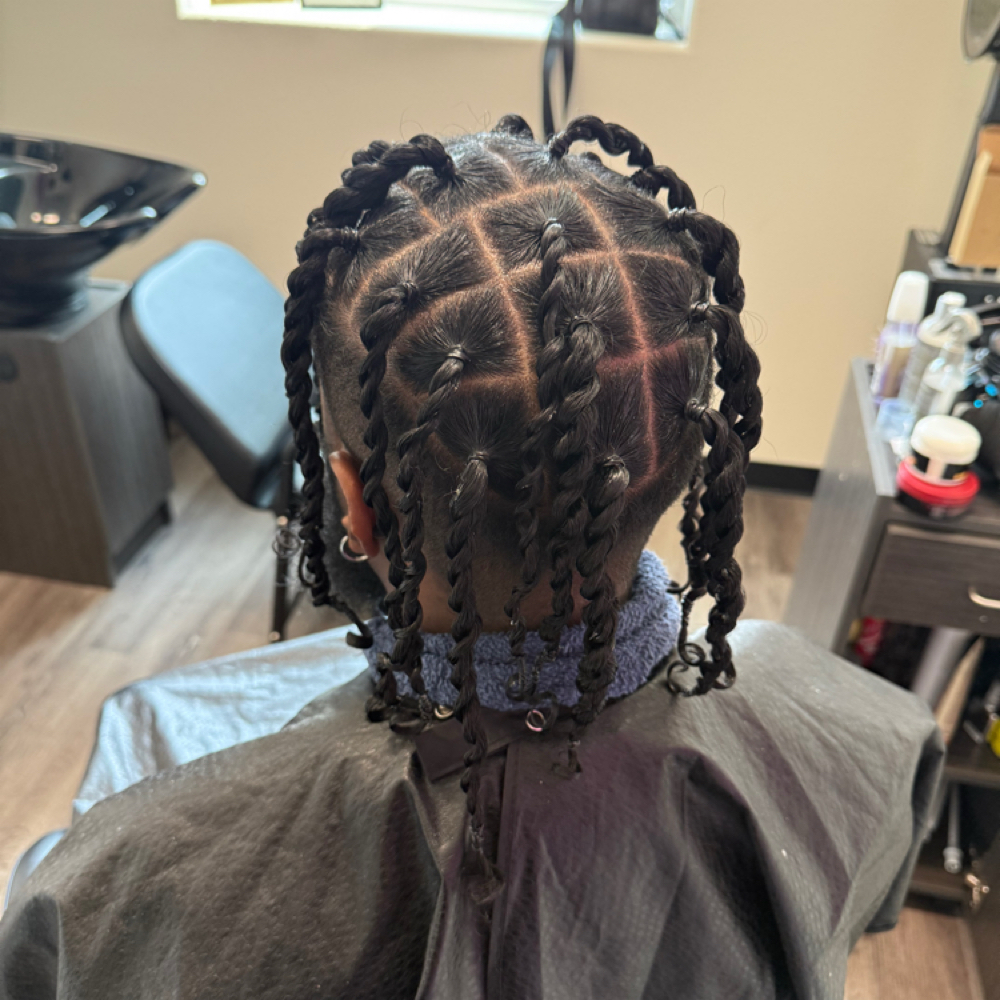 Two Strand Twists at MELLIENOVA LLC in Arlington, TX
