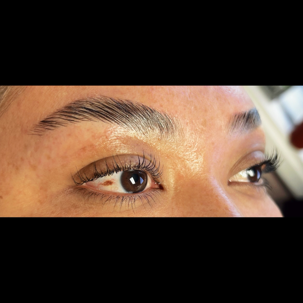 Lash Lift + Brow Lamination/Wax🦇