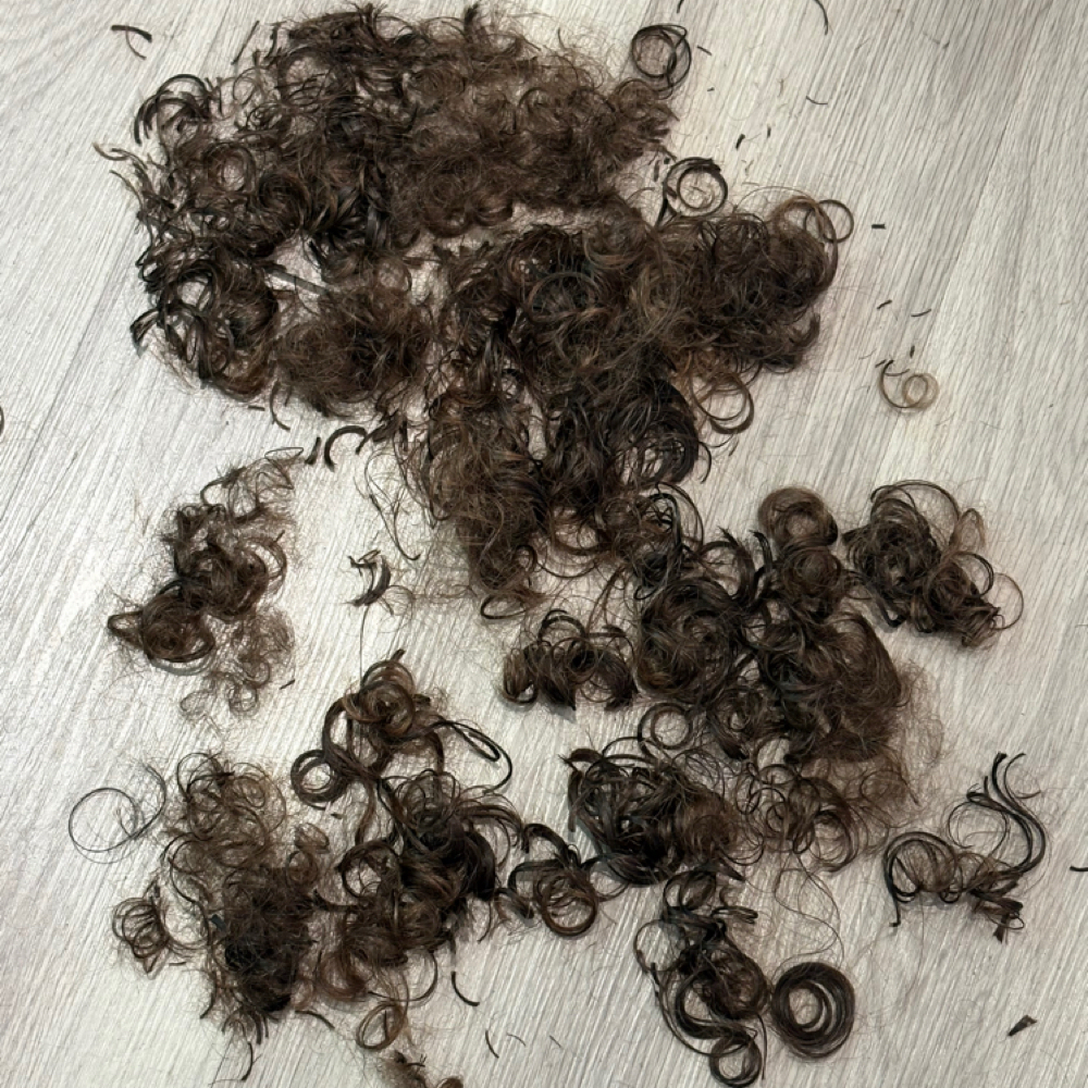 Curly Cut at BeeCurly in Leesburg, VA