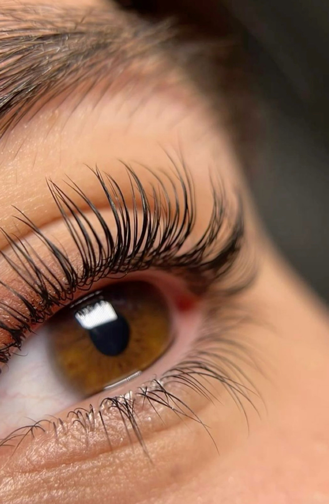 Eyelash Tint at Skin Theory - Logan in Perry, FL