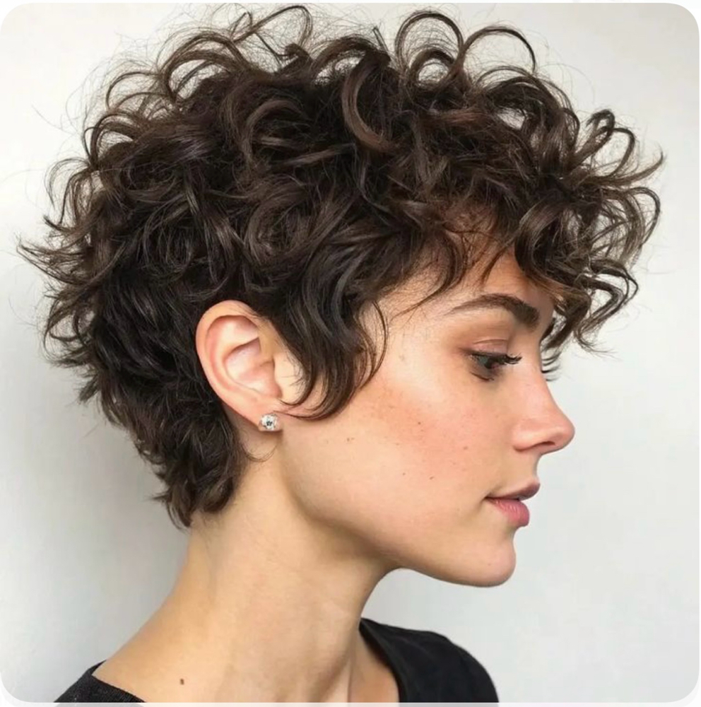 Short Ladys Haircut