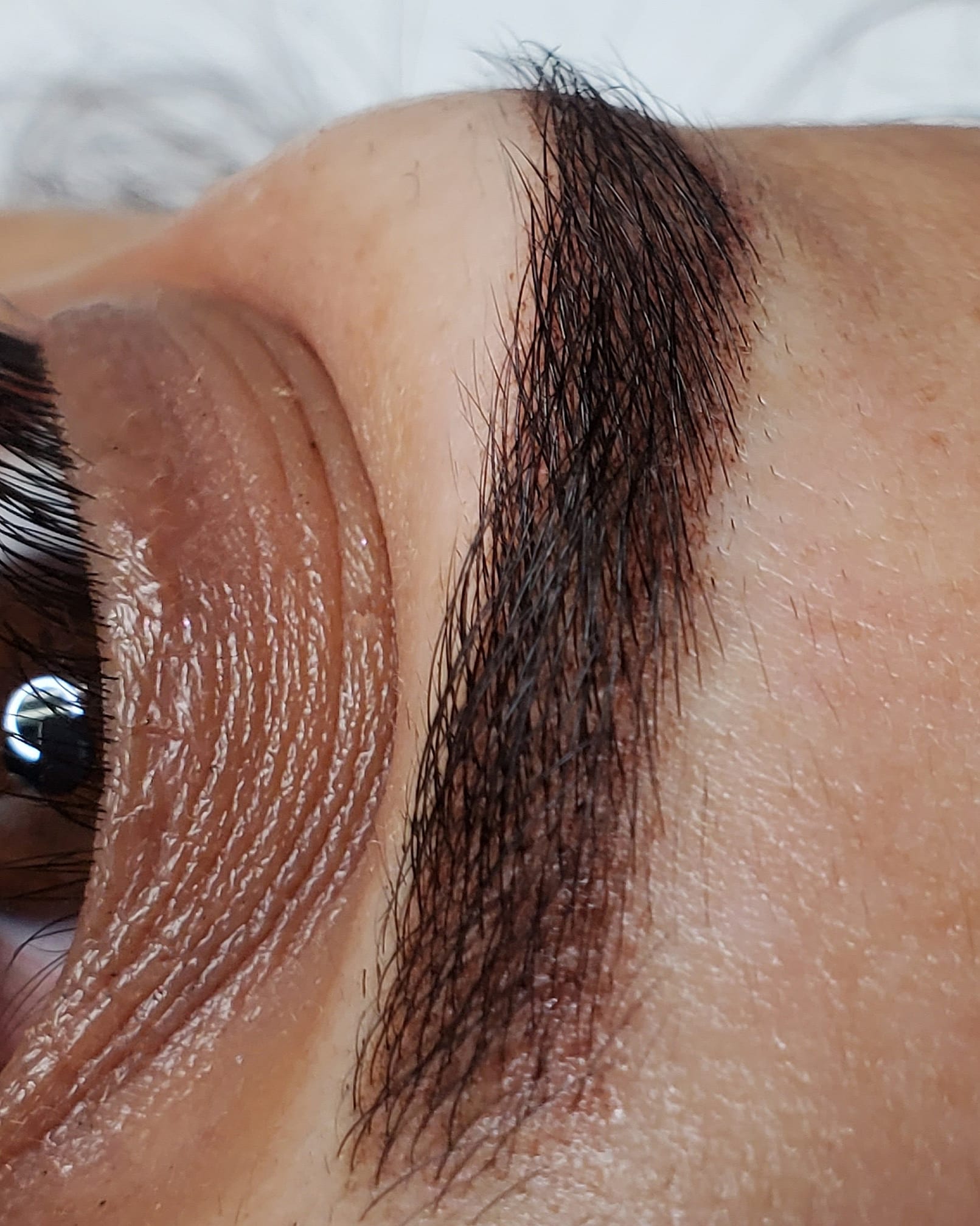 Powder Brows