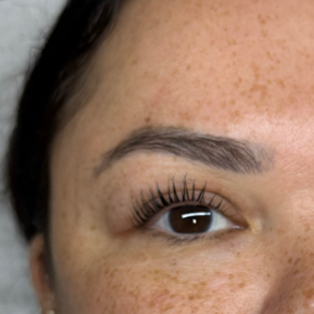 Korean Lash Lift at THE LASH VAULT in Miami, FL