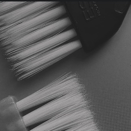 Root Touch Up
