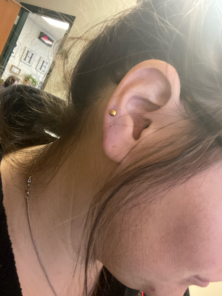 Single Ear at Love Yourself & Glo in Forney, TX