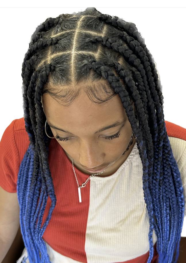Knotless Box Braids(Large)