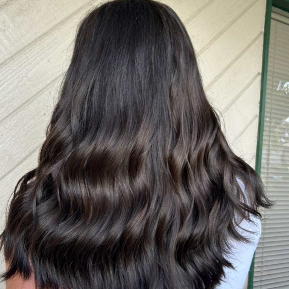 All Over Color (Single Color) at Bailey  Williams in Fort Myers, FL