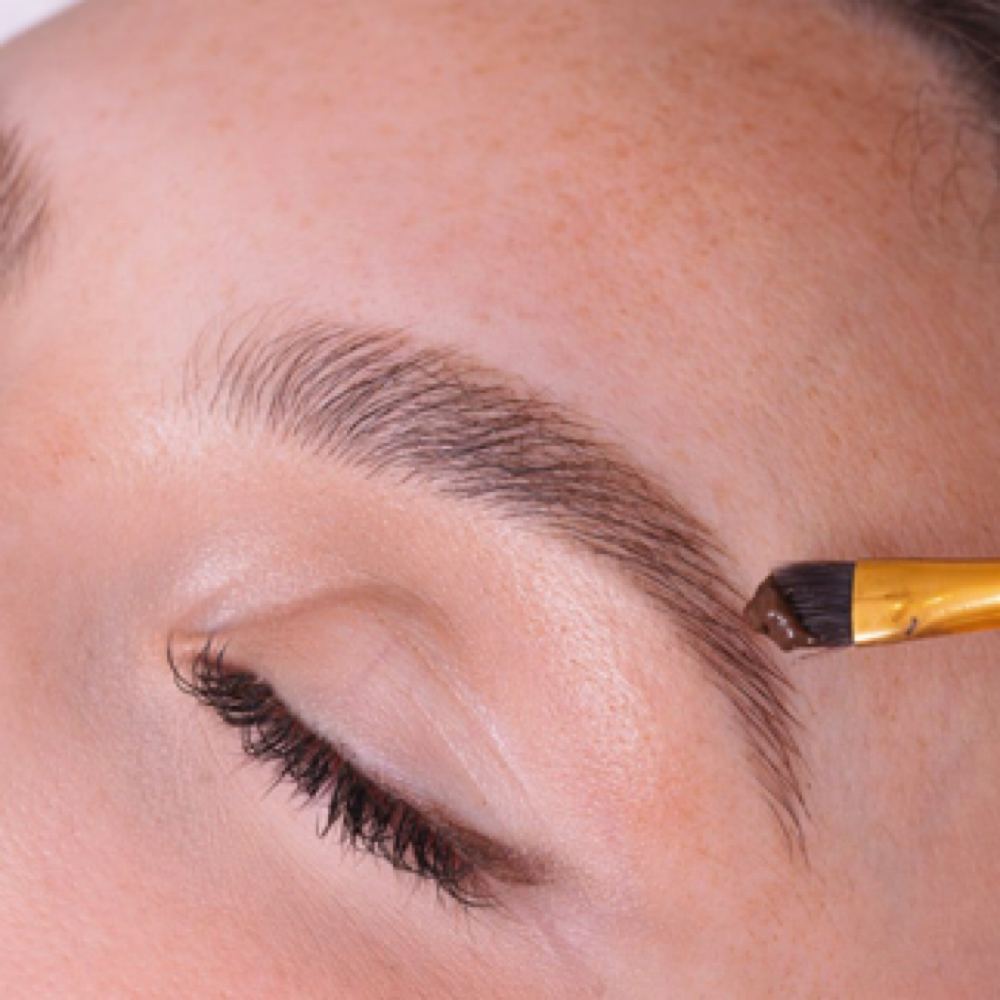 Brow Shape + Sculpt & Tint at Hoosier Beauties in Bloomington, IN