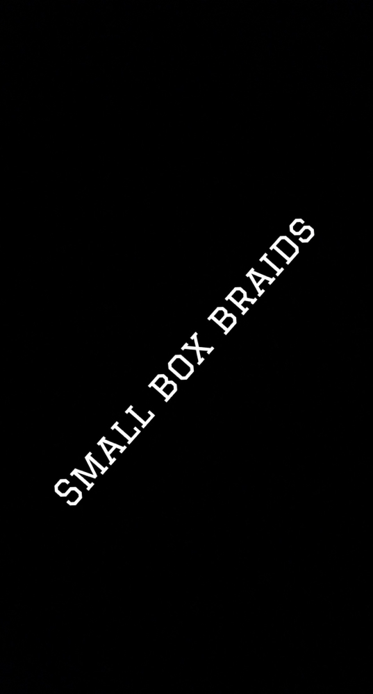 Small Box Braids (Mid-Back)