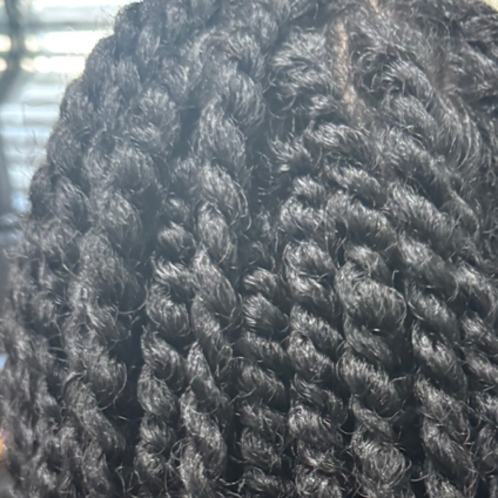 Natural Two Strand Twist at Styled by Soöprêm Beings Presents: CATRESENCO in Matthews, NC