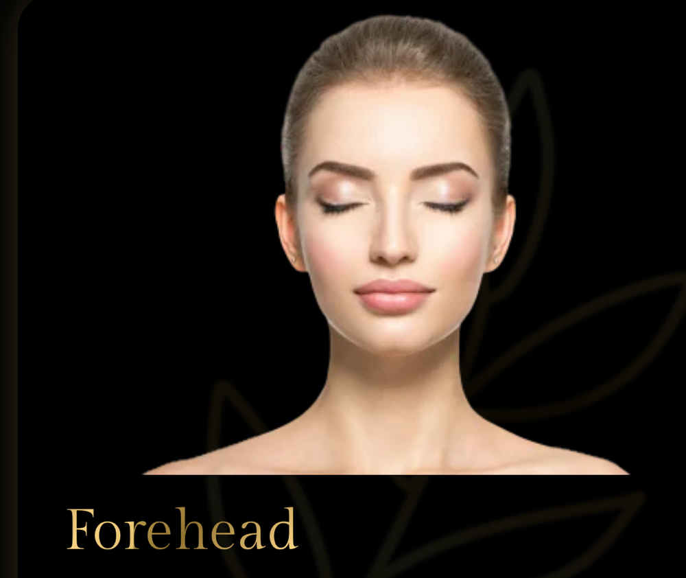 Forehead