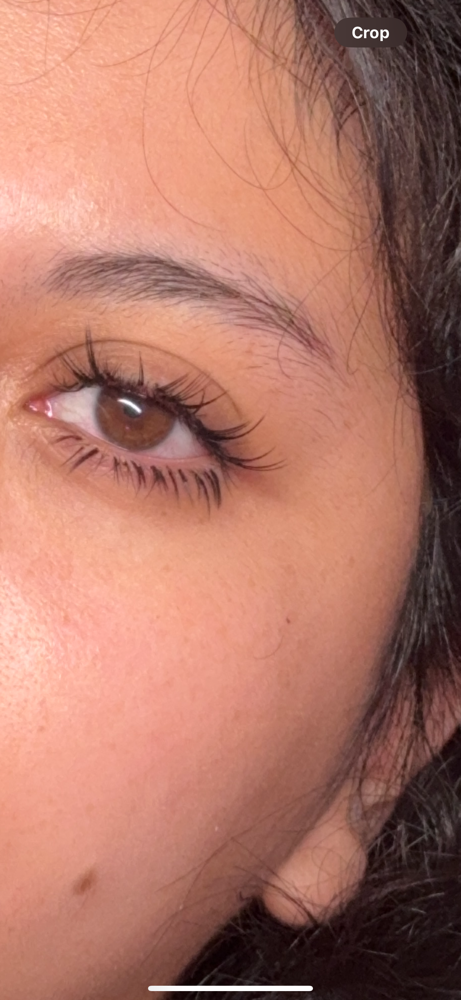 BOTTOM LASHES ONLY (ADD ON) at LASHESBYYNEZ in Rialto, CA