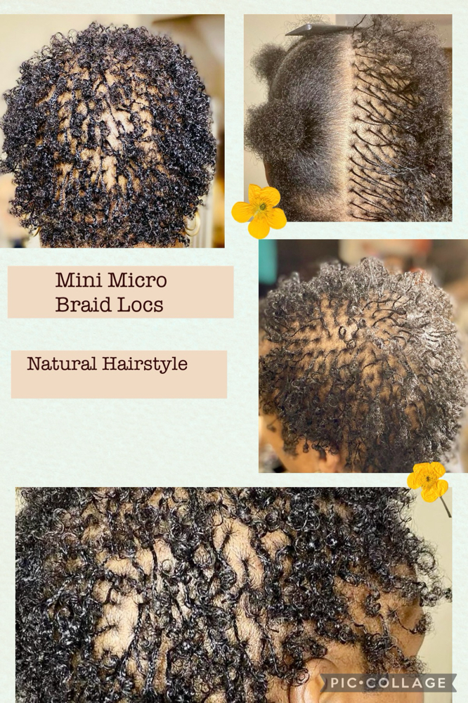 Mini Micro Braid Locs Install 350+