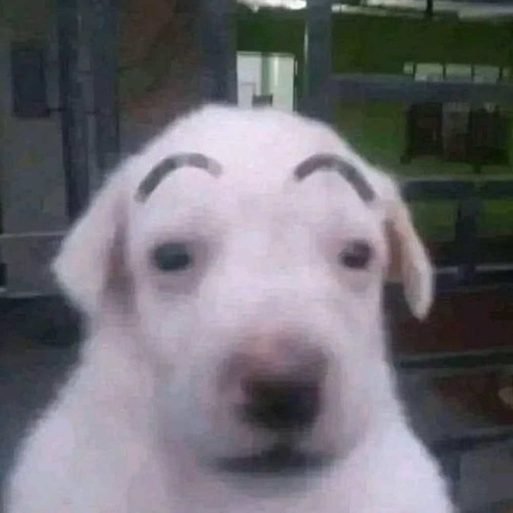 Eyebrow Upgrade !! at Archives from the Scene in Pearland, TX